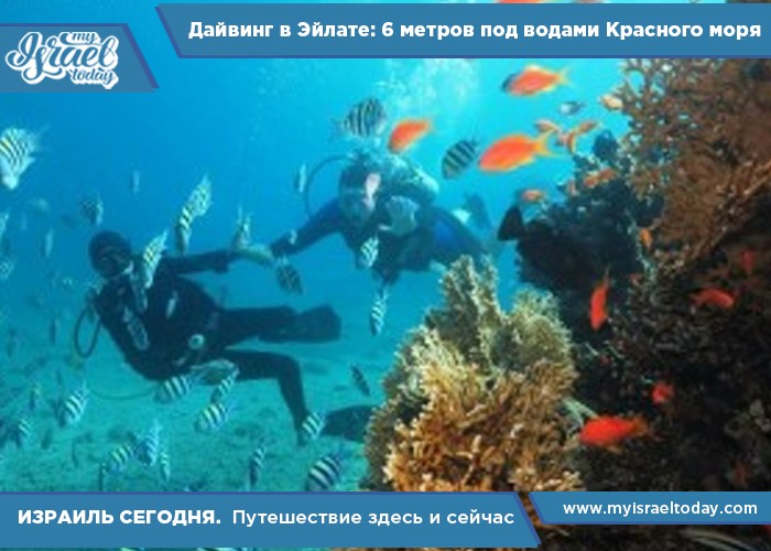 Дайвинг-в-Эйлате-6-метров-под-водами-Красного-моря